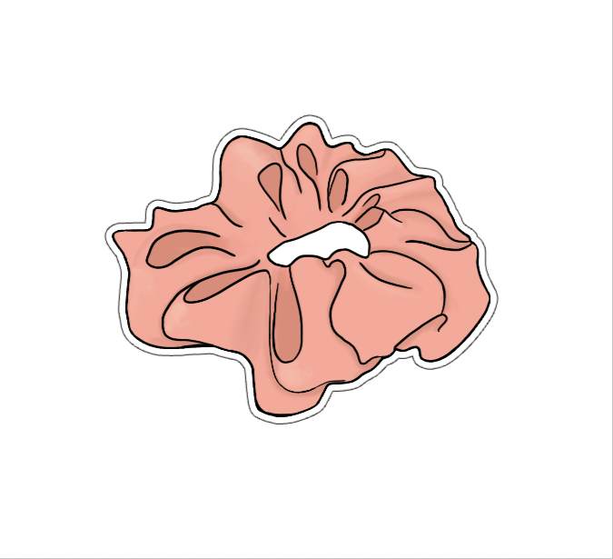 Coral Scrunchie